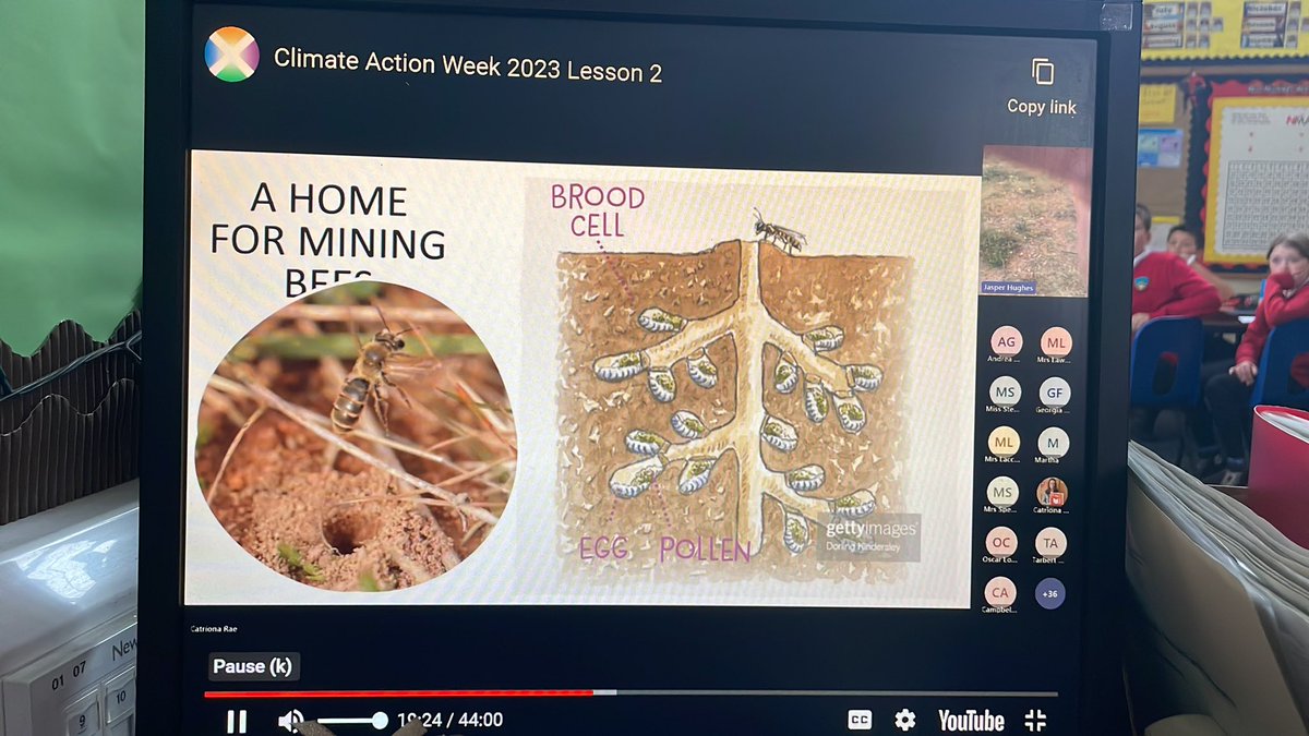 We took part in Lesson 2 for Climate Action Week 2023 from #keepscotlandbeautiful and learned all about the importance of nature’s own engineers! 🐝 🪰 🦫 This was very interesting and we learned lots about the importance of these insects/animals.