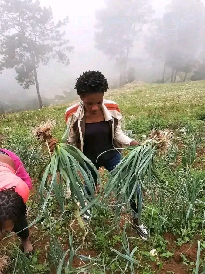 Revolisyone_jho's tweet photo. Bonjou #Ayiti ,bonjou peyim Nou gen kapasite e obligasyon pou fè #dominiken pa janm ranse avek nou ankor https://t.co/IpZpjaq4aN