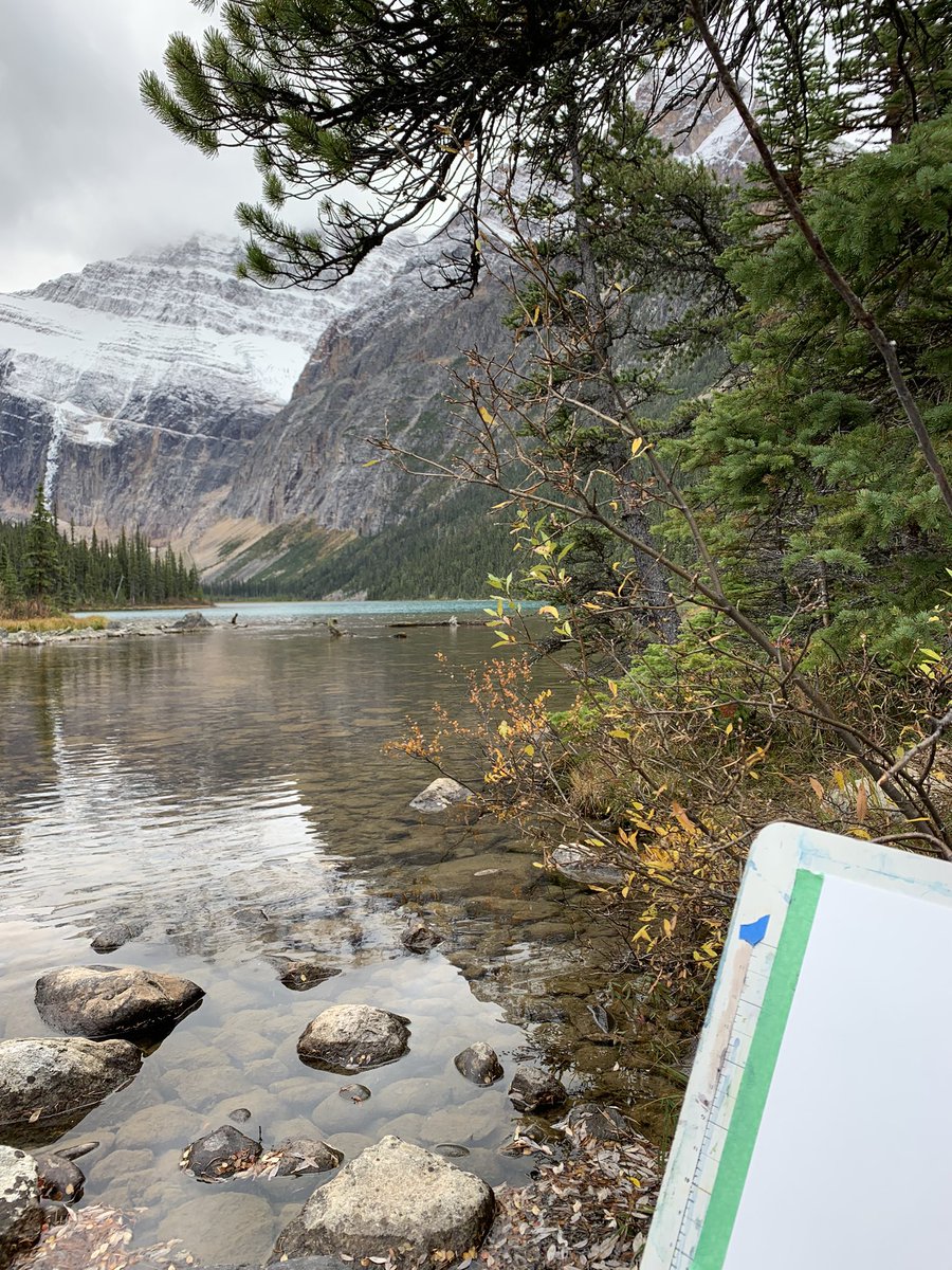 KarenBArtist's tweet photo. Got to paint at this amazing spot yesterday - how lucky am I! 

Teardrop Lake, Edith Cavell road, JasperNational Park https://t.co/kGbx8pwxoQ