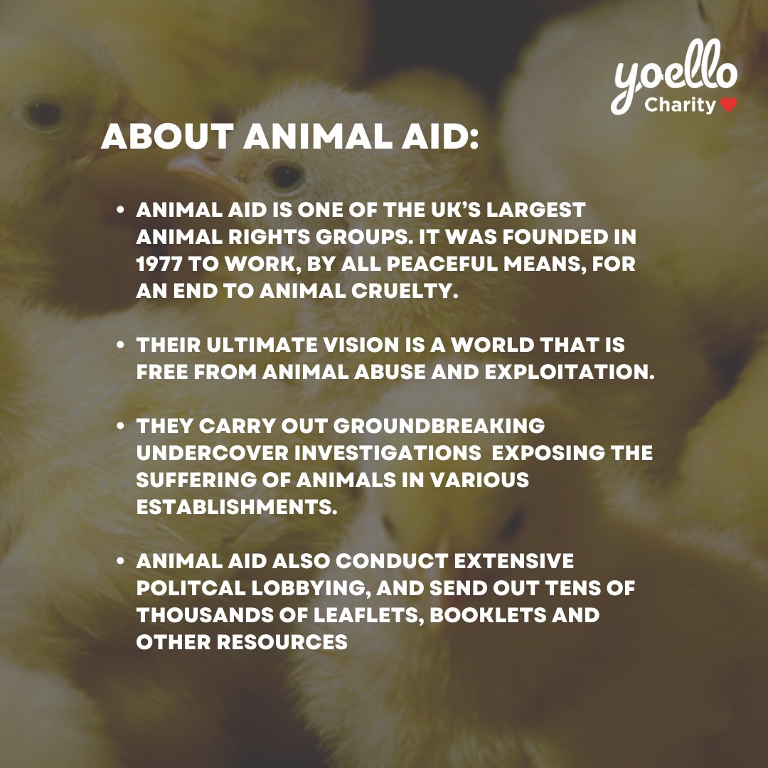 In this week's partner spotlight we have Animal Aid 💛 

🦒 It was founded in 1977 to work, by all peaceful means, for an end to animal cruelty. 

🐣 Their ultimate vision is a world that is free form animal abuse and exploitation. 

#donatewithyoello #animalaid #qrdonations