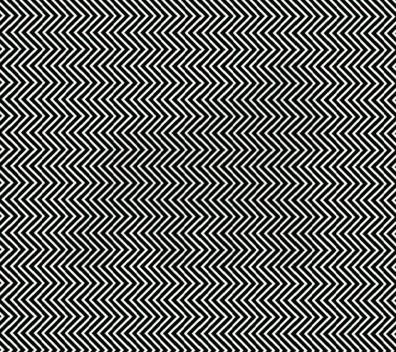 Nature is Amazing ☘️ tweet media