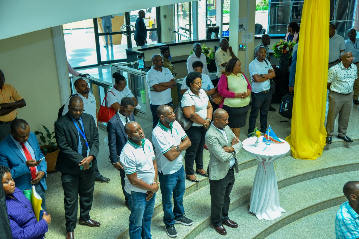 Oco Dansan tweet media