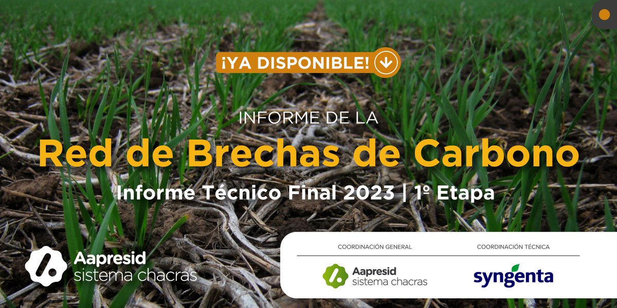 aapresid's tweet photo. 📣¡Primer informe de la Red de carbono! 🤩

Nuestra línea de brechas de carbono surge tras una demanda latente, específica y compartida entre productores, asesores, ingenieros y técnicos: el estado de situación del carbono orgánico del suelo (COS) y su rol como aliado en la mejora de los sistemas productivos.

En este informe, te invitamos a conocer los primeros resultados de esta línea respondiendo a sus principales objetivos: comprender el estado de situación actual del COS, y conocer las brechas existentes entre los niveles actuales, alcanzables y potenciales de COS en los suelos de las diferentes regiones productivas de Argentina. 🇦🇷

¡Ya disponible en nuestra web! 🚀
https://t.co/qKuNPJ1wQu