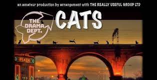 #AMATEUR #THEATRE #REVIEW - Cats @StockportPlaza1 #TheDramaDept #Cats #Stockport #Musical - here - number9reviews.blogspot.com/2023/09/amateu…