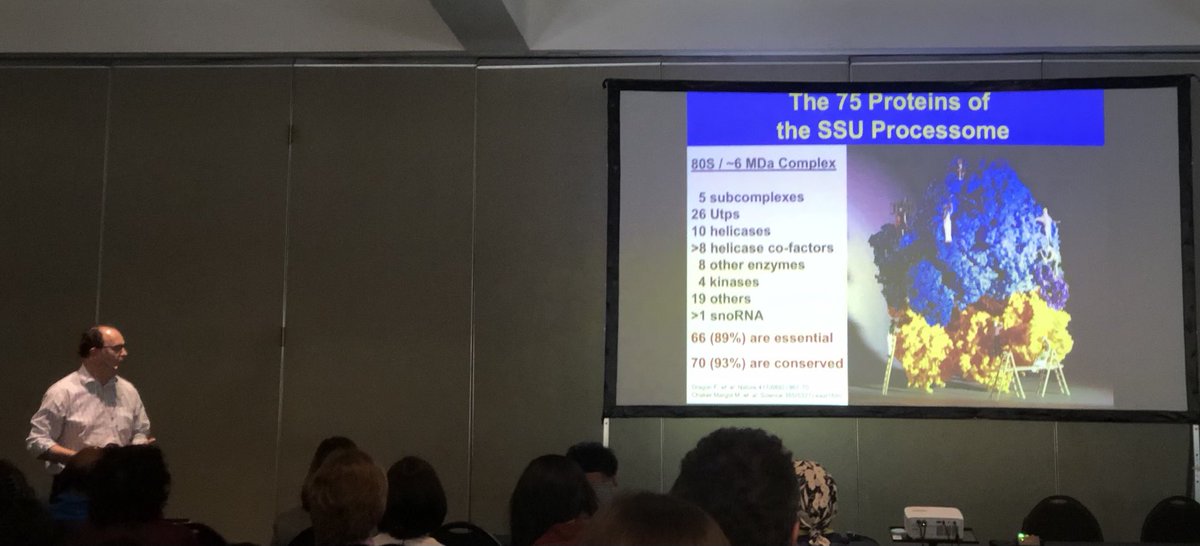 Hans-Joachim Wieden (@hjwieden) on Twitter photo Great talk by fellow Manitoban #ribosome enthusiast Michael Charette <a href="/ribosome_asmbly/">CHARETTE LAB</a> <a href="/BrandonUni/">Brandon University</a> at the 2023 RiboClub Opening Session. Great talk by fellow Manitoban #ribosome enthusiast Michael Charette <a href="/ribosome_asmbly/">CHARETTE LAB</a> <a href="/BrandonUni/">Brandon University</a> at the 2023 RiboClub Opening Session.