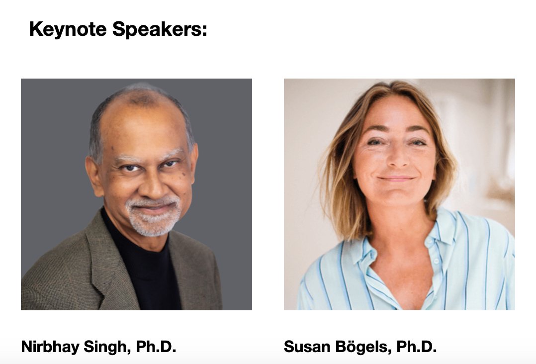 Susan Bögels tweet media