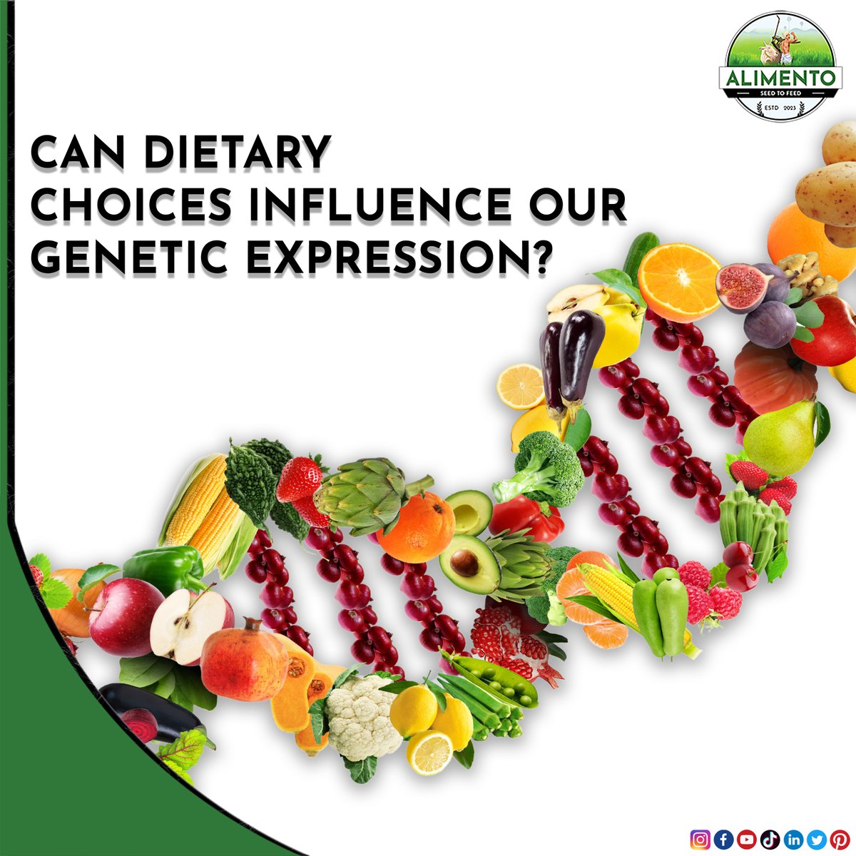 alimento_pk's tweet photo. Deoxyribonucleic acid (DNA) is an organic chemical that contains genetic information and instructions for protein synthesis. It is found in most cells of every organism. https://t.co/2ZAljUf9NA