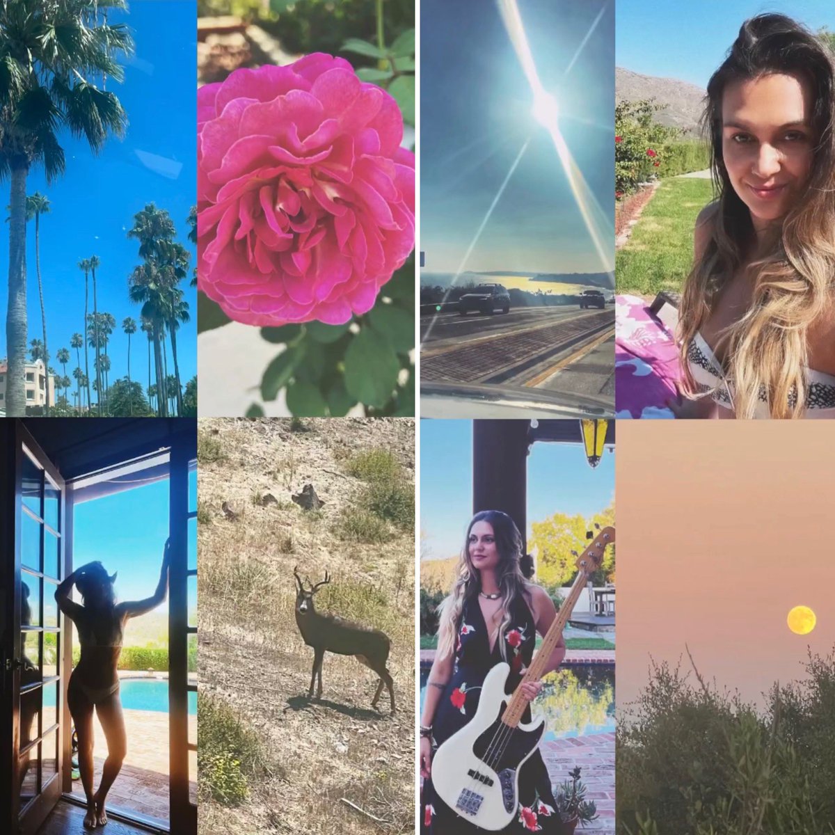 JULIALAGE's tweet photo. 𝐴 𝑓𝑒𝑤 𝑜𝑓 𝑚𝑦 𝑓𝑎𝑣𝑜𝑟𝑖𝑡𝑒 𝑡𝘩𝑖𝑛𝑔𝑠 🤍
#nature #reconect #music #animals #disconnect #peace #✌🏼 https://t.co/pV5i37DO65