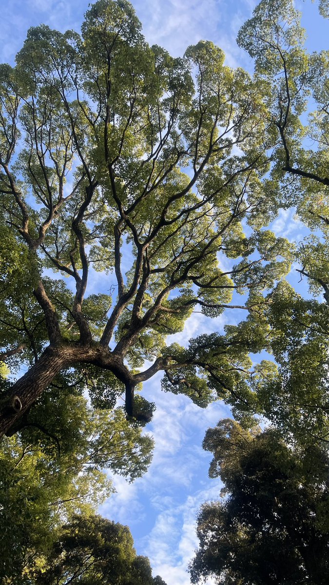 kyos0114's tweet photo. まじ自然。 https://t.co/wjJBqnsbUn