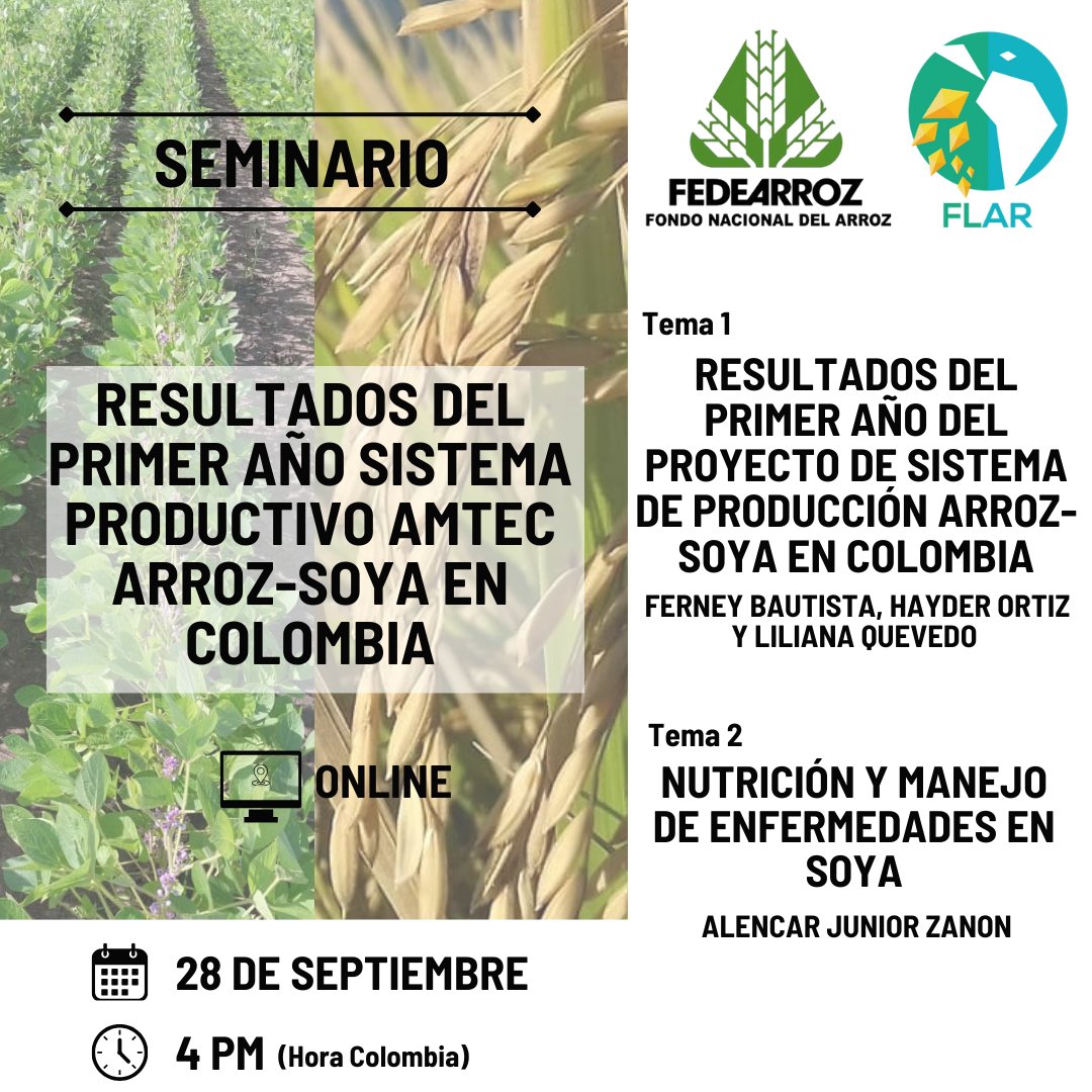 arrozFLAR's tweet photo. #Prográmate | Participa en el seminario virtual en el que se presentarán los resultados del primer año del sistema productivo #AMTEC Arroz-Soya de @FEDEARROZGREMIO🇨🇴, el cual contó con la asesoría de @arrozFLAR

🗓️28 de septiembre
🕓4:00 p.m.🇨🇴
🔗Únete: https://t.co/KCos95lCU3 https://t.co/omTTori892