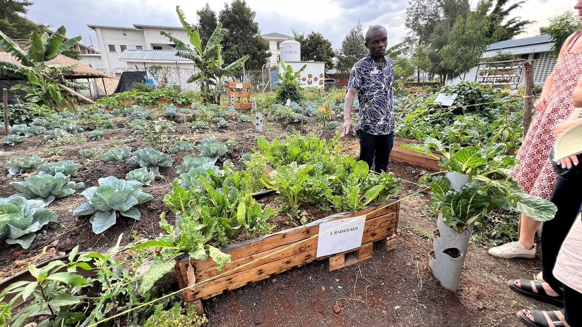 FastForward2030's tweet photo. Join us as Michael, the CEO of @greenponics_s take us through his innovative demo farm, in a mission to empower farmers so they can benefit from quality produce by using methods such as vertical garden, hydroponics, drip irrigation, metalic greenhouse and many more. https://t.co/hpxopMiLsY