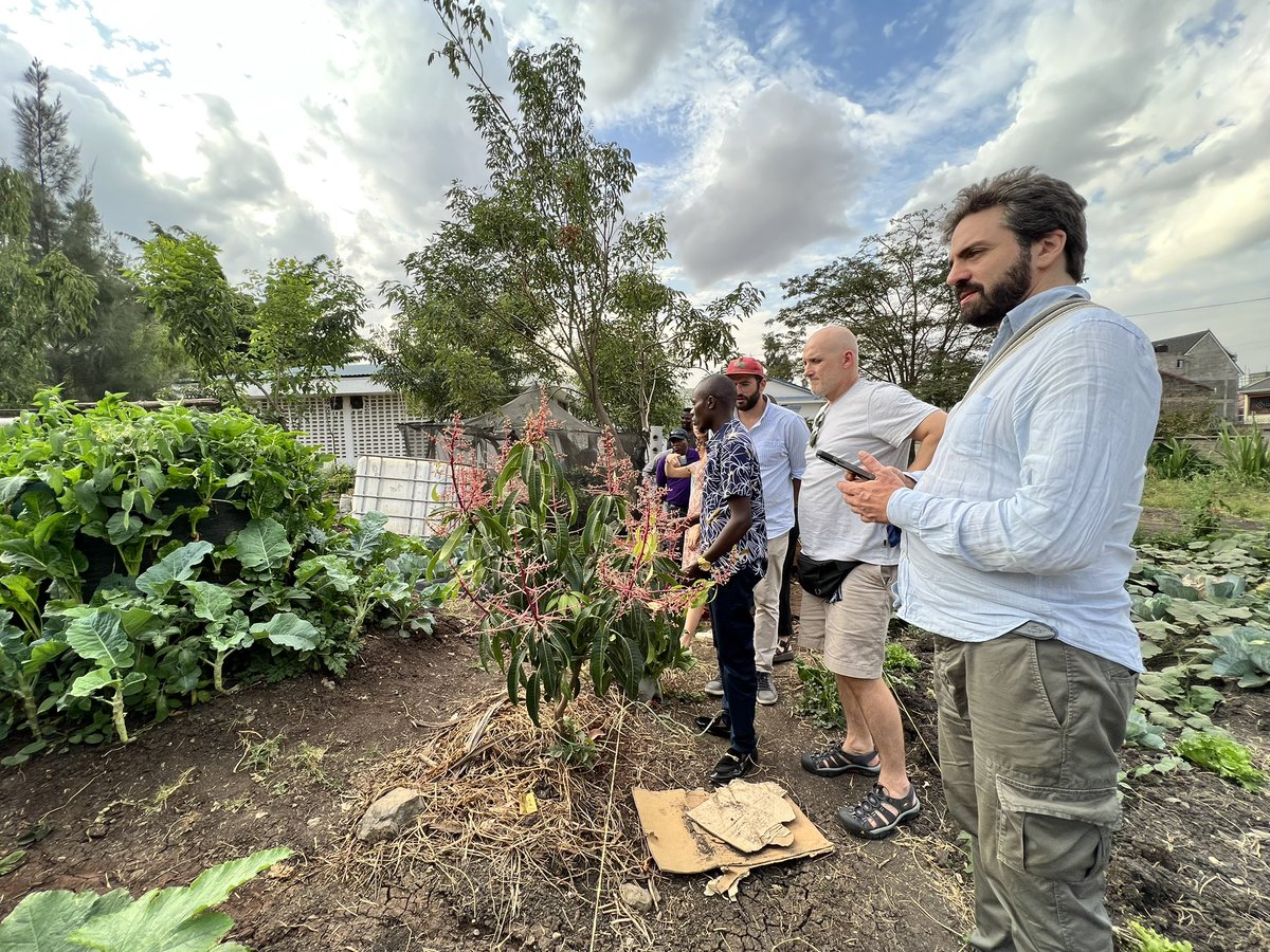 FastForward2030's tweet photo. Join us as Michael, the CEO of @greenponics_s take us through his innovative demo farm, in a mission to empower farmers so they can benefit from quality produce by using methods such as vertical garden, hydroponics, drip irrigation, metalic greenhouse and many more. https://t.co/hpxopMiLsY