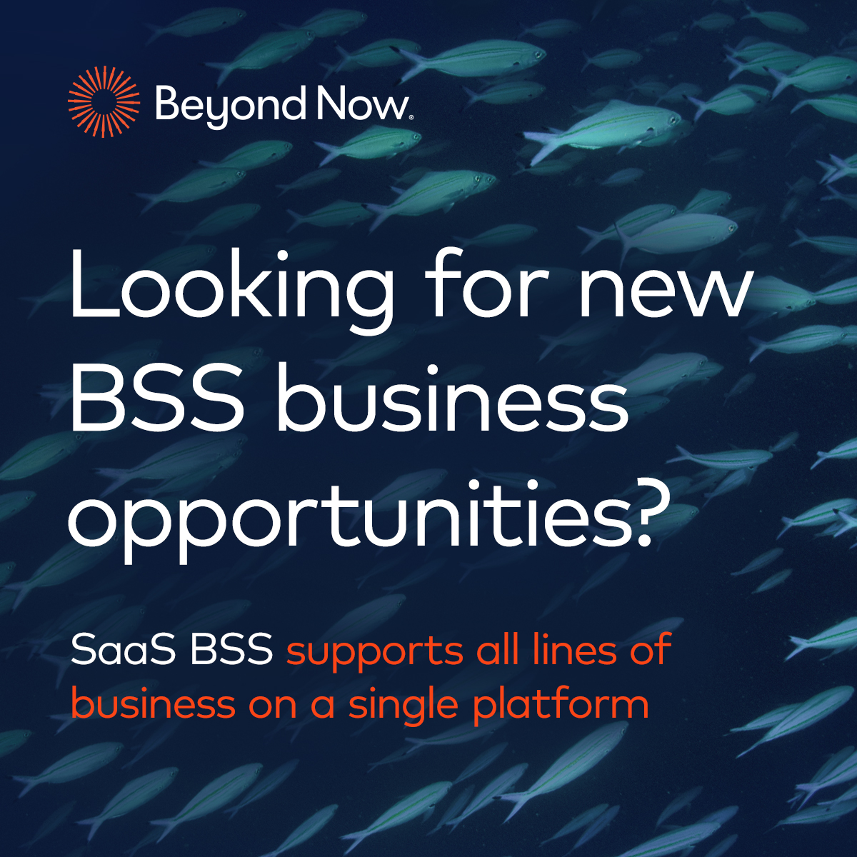 BeyondPlatforms's tweet photo. Are you looking for new #BSS business opportunities? Infonova #SaaS BSS is built on future-proof, cloud-native technology and supports all lines of business – consumer, SMB, enterprise, wholesale – on a single BSS. Learn more: https://t.co/ZXGfP255n5  #Cloud #Technology https://t.co/f8hpkbYVZZ