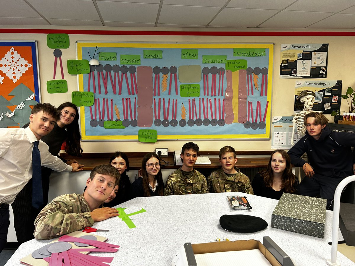 warminsterbiol1's tweet image. #ibdp #biology #ib1 working as an international team to model a #plasmamembrane
Lovely to see them working together, sharing ideas and producing a strong piece of work. Merit worthy I believe!!
@warminster1707
#communityofopportunity
#madeinwarminster