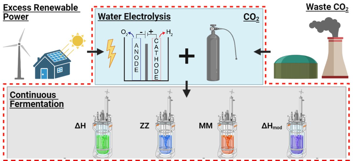 Aristilde Lab @ Northwestern Engineering (@aristildelab) on Twitter photo Methane-producing archaea in power-to-gas technology? Unraveling Methanothermobacter platforms in biomethanation....See just published article in iScience <a href="/iScience_CP/">iScience journal</a>, exciting collaborative work led by @BatianMolitor and former PhD student Dr Isabella Casini. Link: Methane-producing archaea in power-to-gas technology? Unraveling Methanothermobacter platforms in biomethanation....See just published article in iScience <a href="/iScience_CP/">iScience journal</a>, exciting collaborative work led by @BatianMolitor and former PhD student Dr Isabella Casini. Link: