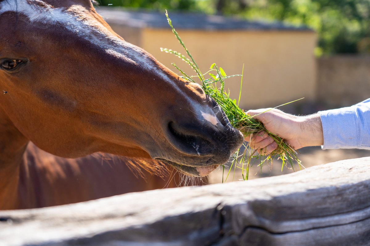 ClosdeLom tweet media