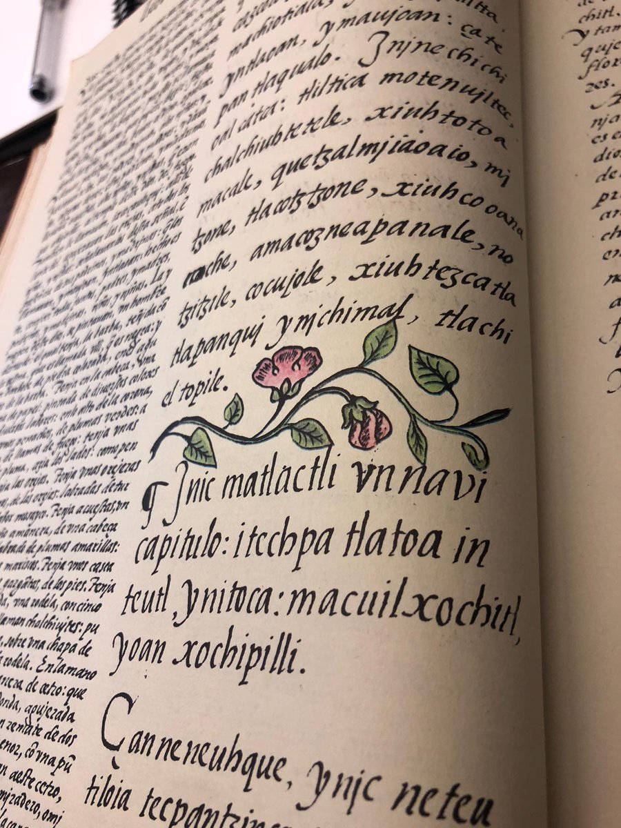 GenHisHaifa General History tweet media