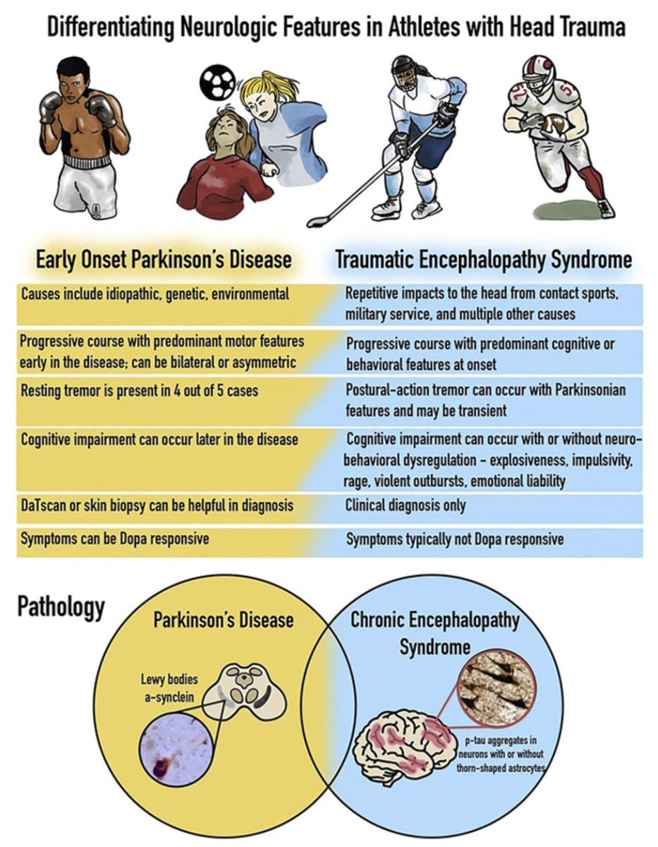 Michael Okun (@michaelokun) on Twitter photo Can you differentiate early onset Parkinson's disease from traumatic encephalopathy syndrome. 'Money figure.' Can be tricky in athletes. <a href="/UFMDFellowship/">UF Movement Fellowship</a> <a href="/NitaChenNeuro/">Nita Chen, MD</a> <a href="/AVCarpentier/">Ariane V. Carpentier</a> and I made a 'tweetable image.' Hint: a clinical diagnosis of Parkinson disease is usually made Can you differentiate early onset Parkinson's disease from traumatic encephalopathy syndrome. 'Money figure.' Can be tricky in athletes. <a href="/UFMDFellowship/">UF Movement Fellowship</a> <a href="/NitaChenNeuro/">Nita Chen, MD</a> <a href="/AVCarpentier/">Ariane V. Carpentier</a> and I made a 'tweetable image.' Hint: a clinical diagnosis of Parkinson disease is usually made
