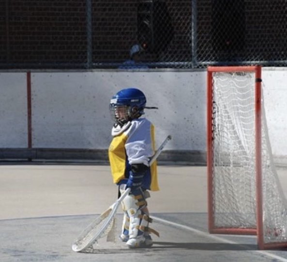 AlbFireWolves's tweet image. how it started 🆚 how it’s going