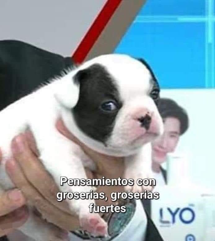 Cómo cuando el paciente fumador + EPOC  te dice que no va a dejar de fumar porque aún así no se va a curar