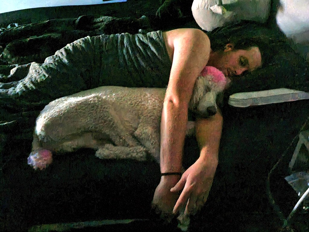 Hexual Healin' tweet media