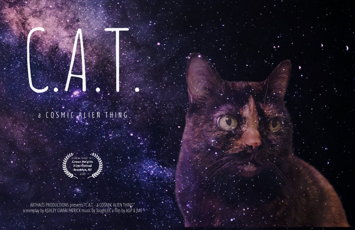 agpatrick's tweet photo. We’re thrilled to announce that C.A.T. a Cosmic Alien Thing is an OFFICIAL SELECTION @CHFilmFestival in Brooklyn, NY! So excited to have our world premiere in the very neighborhood where we made the film!
#shortfilm #shotoniphone #shoestringbudget #scifi https://t.co/x3cHK0IlBv