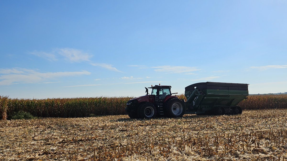 CarlsonSeed's tweet image. DKC68-48, DKC67-37, and DKC64-21 all produced over 300 bu/ac in SW Iowa 💪

#CornThatPerforms #SmartStax
@Asgrow_DEKALB @DKAS_Iowa @DKAS_SWIA