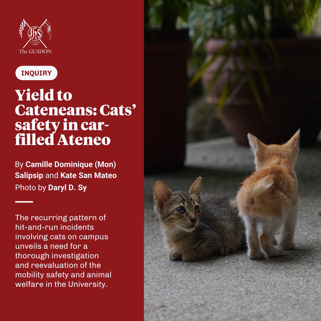 TheGUIDON's tweet photo. INQUIRY: The recurring pattern of hit-and-run incidents involving cats on campus unveils a need for a thorough investigation and reevaluation of the mobility safety and animal welfare in the University.

https://t.co/5XbVUcMLxu https://t.co/J1lSdSgvJ3