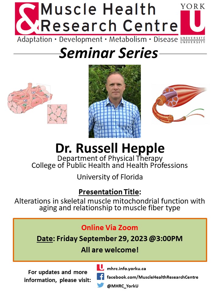 Please join us Friday (3pm Toronto time) for the MHRC Seminar featuring @HeppleRuss (U Florida) who will speak on 'Alterations in skeletal muscle mitochondrial function with aging and relationship to muscle fibre type'. Get the link at: yorku.zoom.us/j/98969813366?… Passcode: 408270
