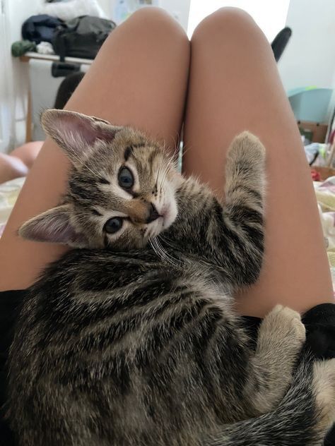 igentlesissy's tweet image. #Sissy #Sissyboy #femboy #sissy_captions #pussy
I wish I had a pussy between my legs.