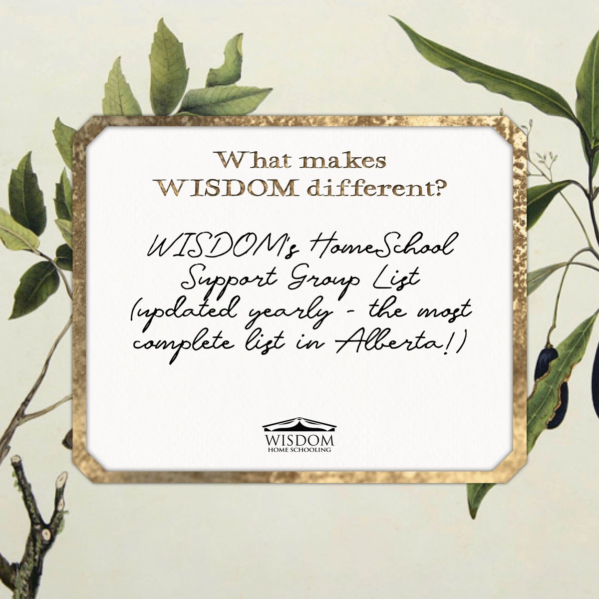 What Makes WISDOM Different?⁣ WISDOM's HomeSchool Support Group List ...