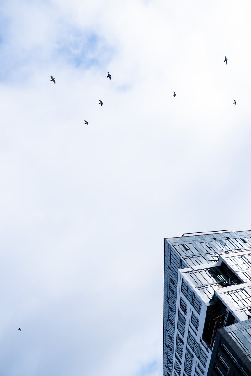 Rental prices in Kingston have skyrocketed over the past number of years. In our latest issue, we examine the "perfect storm" that has led to this crisis, and what can be done to solve it. Find it on kingstonlife.ca.
[Photo of Williamsville student housing by Rob Whelan]