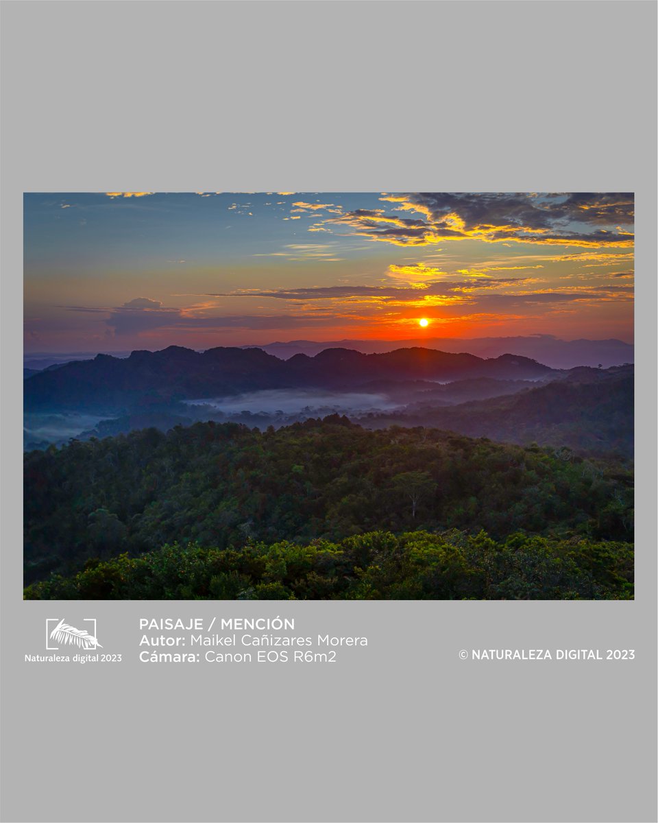 topesdcollantes's tweet photo. 💥Foto Promocional💥
📸Maikel Cañizares Morera

🎊¡Felicidades a todos los premiados!🎊
.
#TopesDeCollantes #DestinosGaviota #GaviotaTurismo #NaturalezaDigital2023 https://t.co/qjvdHYuWHU