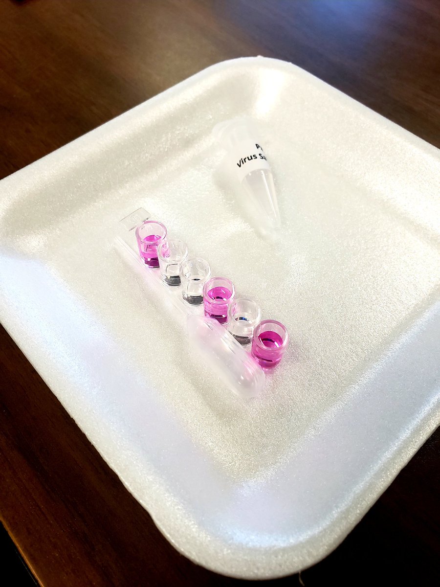 VMColemanHS's tweet photo. Shout out to Ms. Costilla and her first period Biology class! They are analyzing and explaining how viruses are spread through a really cool lab! Host cells and viruses and biosynthesis... oh my! https://t.co/eF4UUkOKFa