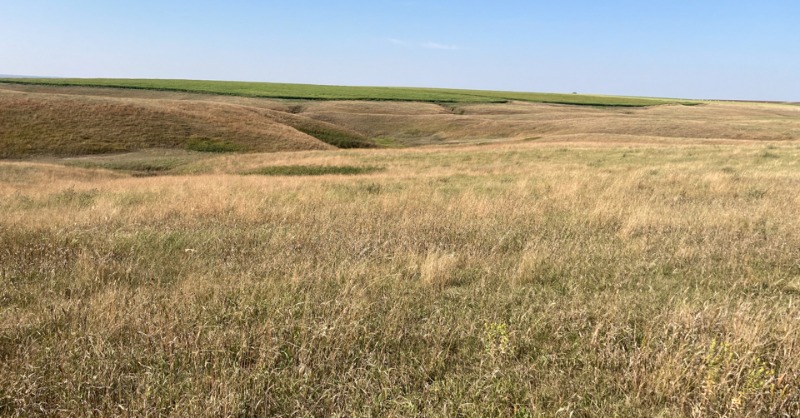 FarmersNational's tweet photo. Online Land Auction!

1,071 acres in Lyman County, South Dakota.