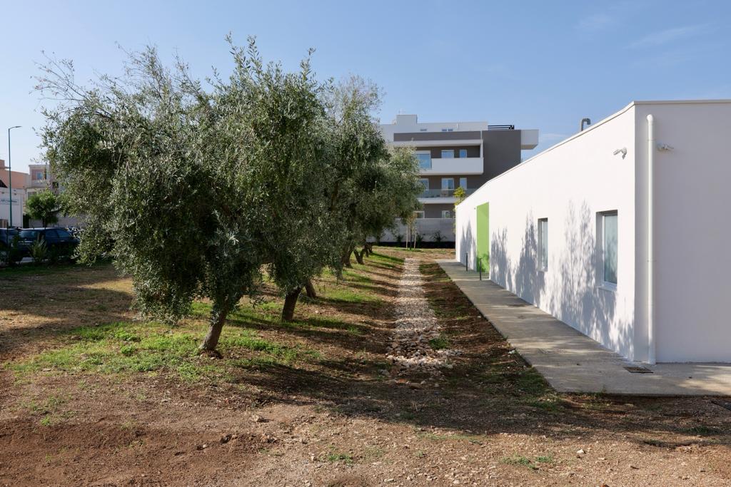 micheleemiliano's tweet photo. La nuova scuola media di #Bitetto “Be Leaf” è un esempio di sostenibilità unico in tutto il Sud Italia, perché ecocompatibile, antisismica, autosufficiente e interamente circondata da un percorso botanico didattico.
#27settembre #regionepuglia #scuola https://t.co/rgqaUNobp4