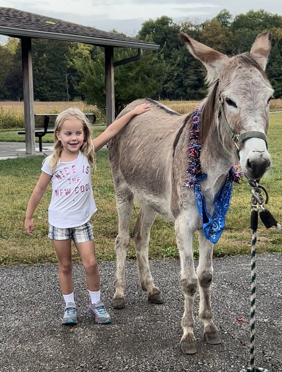 Mrs. Alexander tweet media