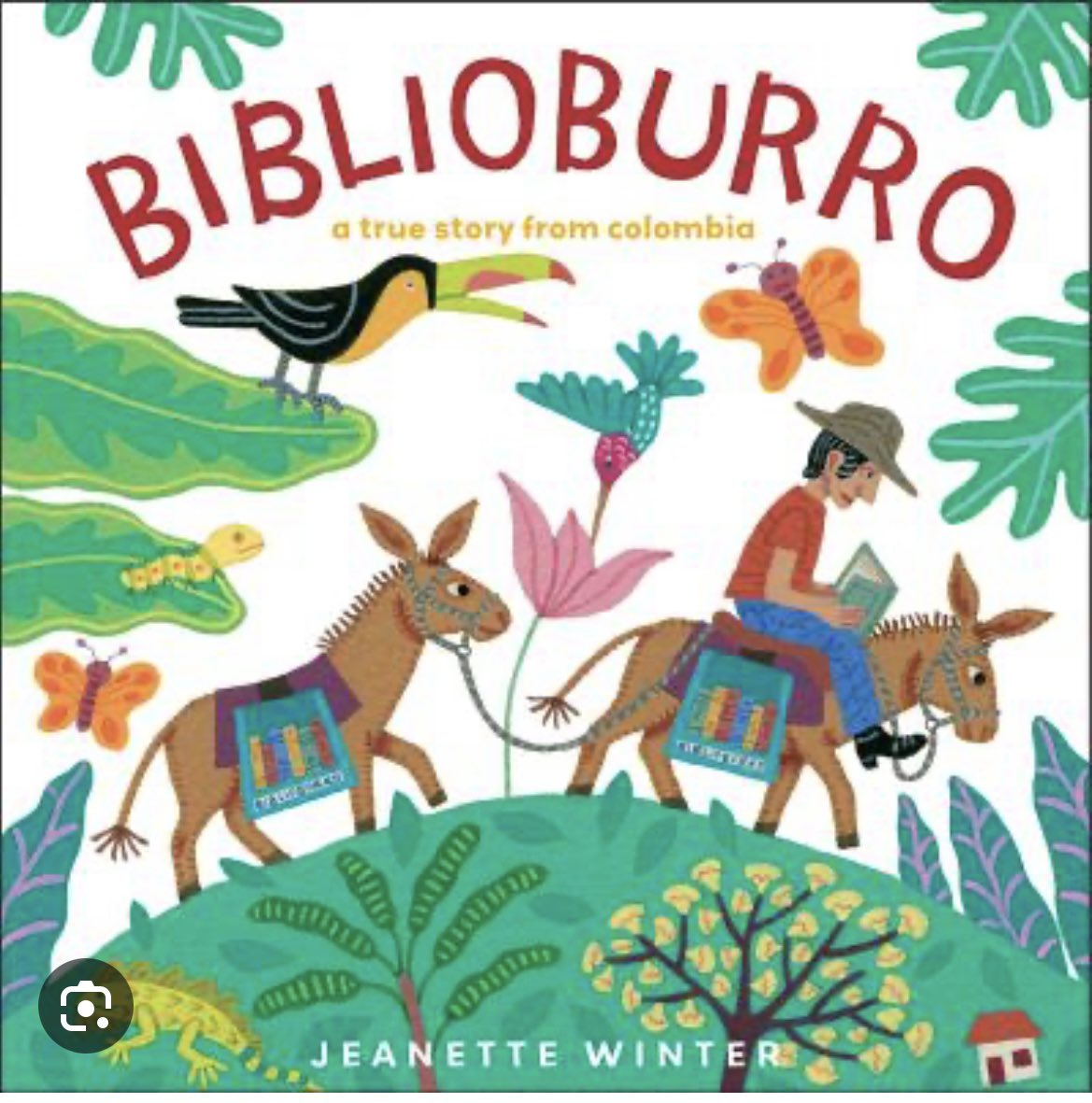 Mrs. Alexander tweet media