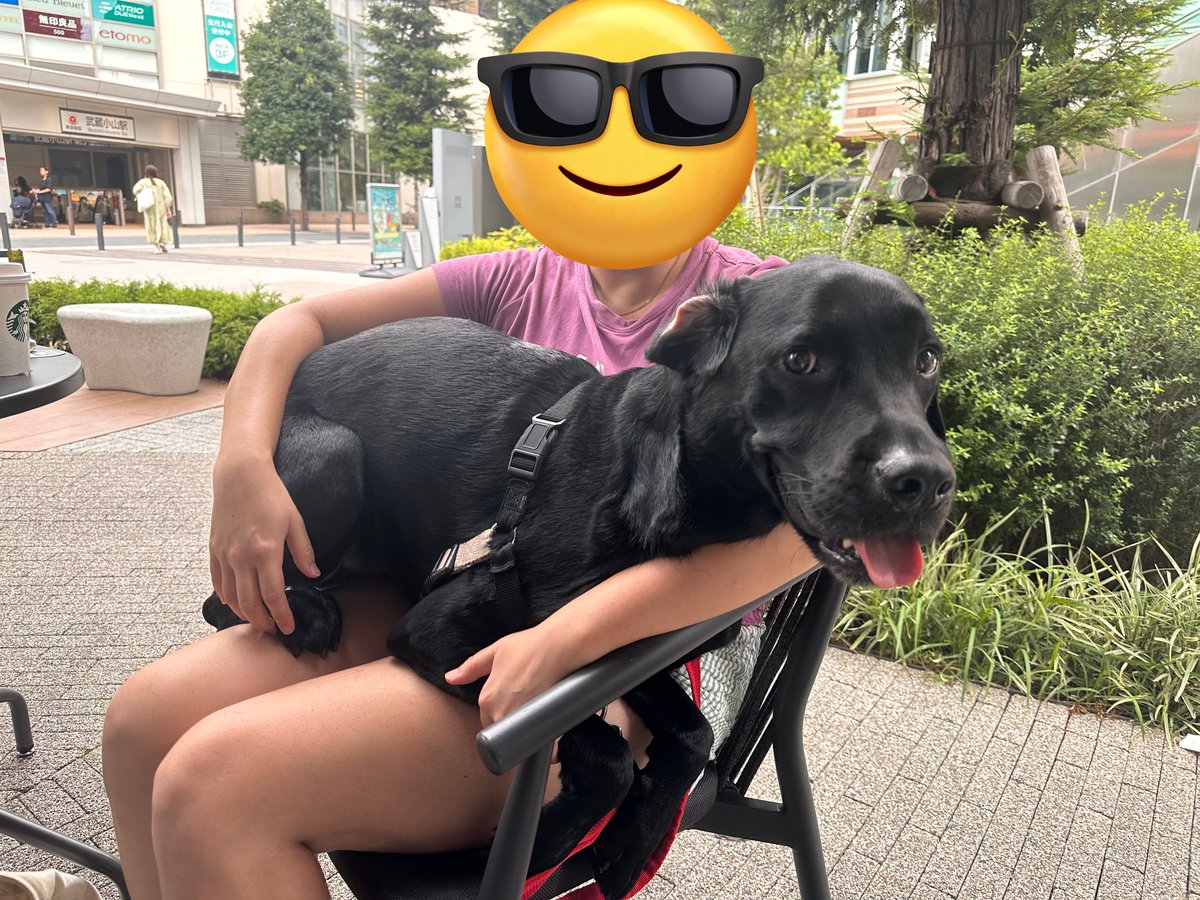 🐕‍🦺「れっちゃんは小型犬だからこうやって抱っこしてほしいの。」

といわれて渋々抱えながらお茶しました😌🍵