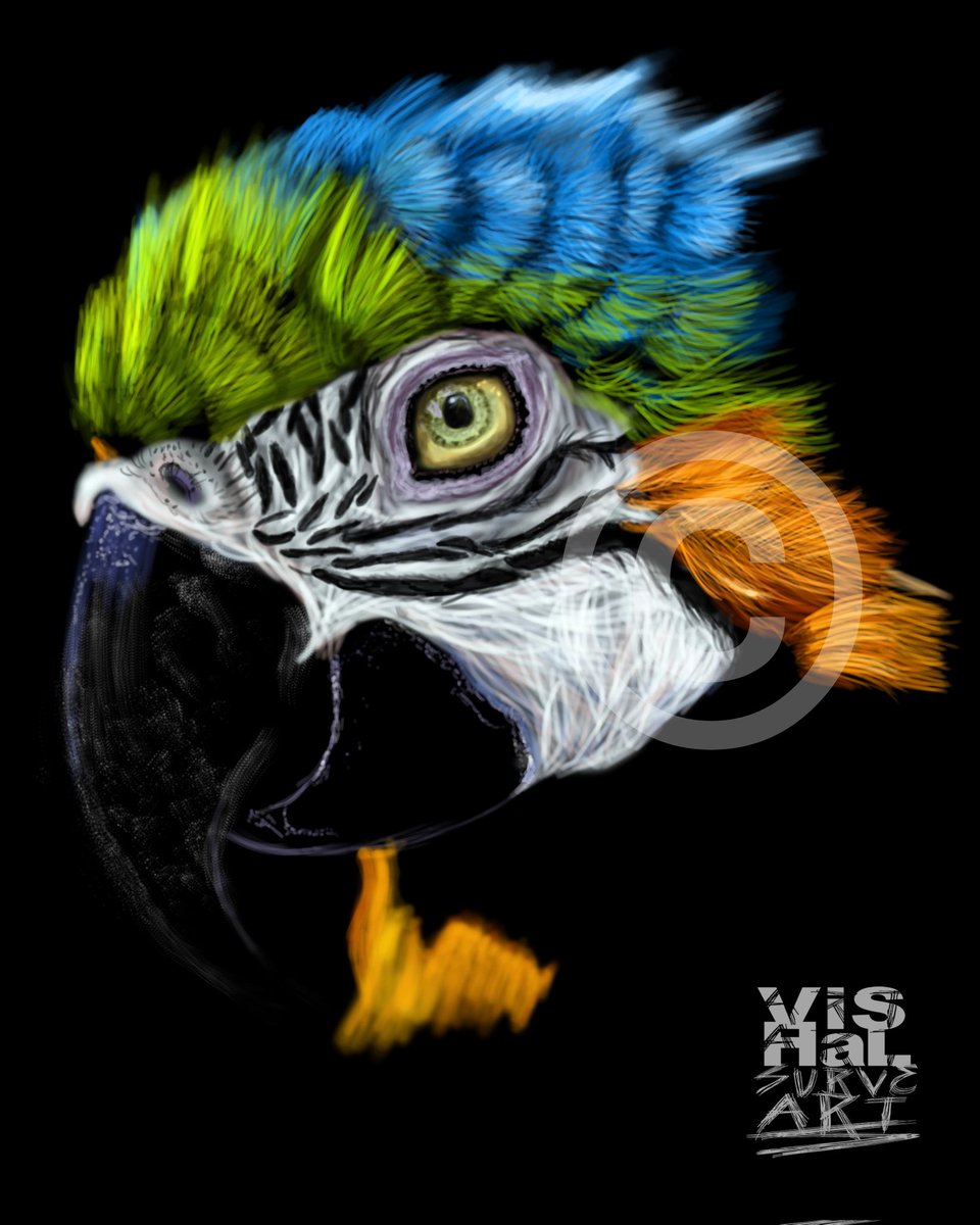 vishalsurvearts's tweet photo. World's largest parrots 🦜who can live upto 60 years...
WIP on the Digital Portrait Painting of this colorful Macaw Parrot.
#macawparrot
#digitalillustration #vishalsurvearts
2nd artwork in the Dark Rising Series.
#art #artist #BirdTwitter #birds #digitalart #digitalpainting https://t.co/3KcdnkMd41