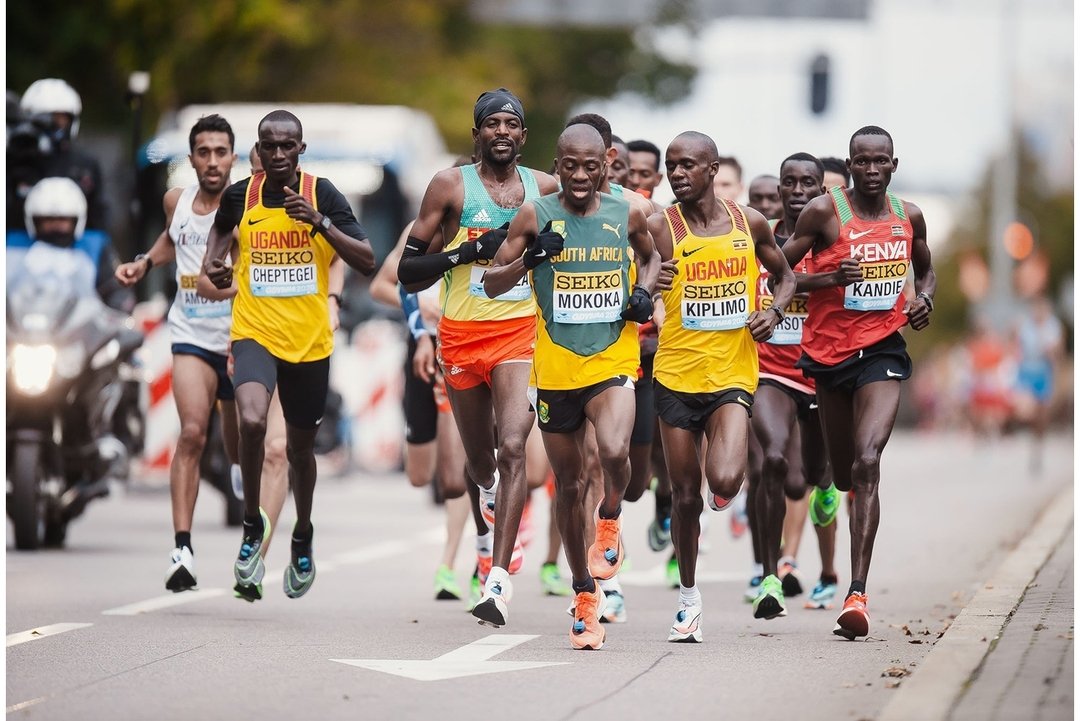 Time to put on the green and gold again 🇿🇦🇿🇦🇿🇦

Almost time for <a href="/WARiga23/">WRRC Riga 23</a>

#spongegroup