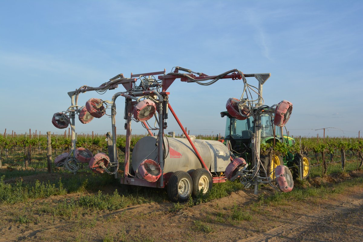 ISDPPodcast's tweet image. Season 2 episode 30 is out today:
sites.libsyn.com/416264/s2e30-p…
I talked with @WSU_Vit_Ext about grape production and  grape disease management.
#ISDP #Grapes #viticulure #IPM @WSUExtension @FRAMEnetworks @VitisGen @GrapeResearch @Wa_State_Wine @ncipmc @MartinChilvers1 @CropNetwork