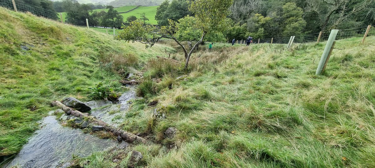 South Cumbria Rivers Trust tweet media