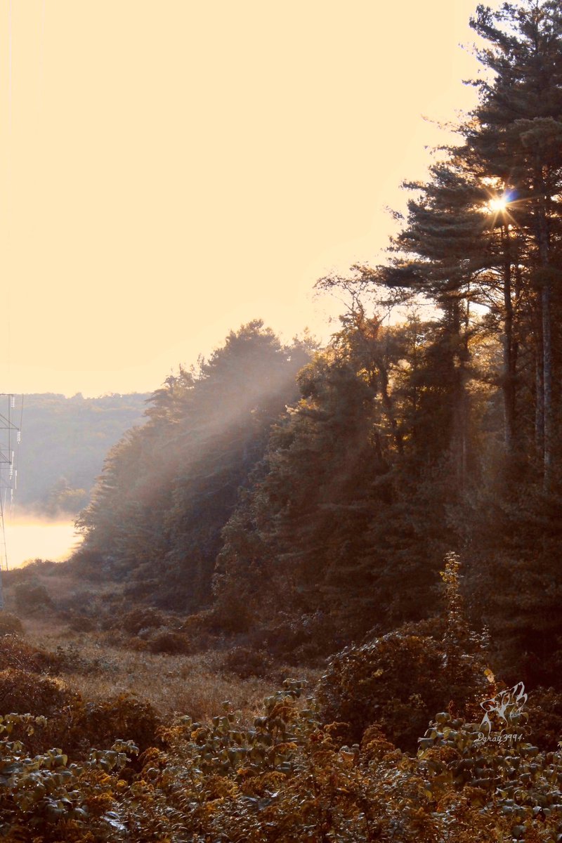 dgray3994's tweet photo. Misty morning sun.
#quabbinreservoir
#wareMa https://t.co/SWIuJaPO9S