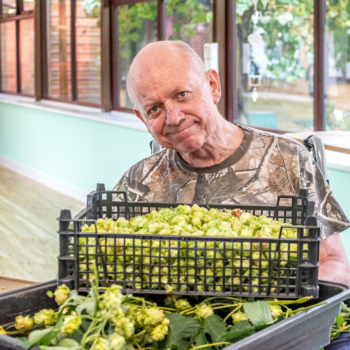 ALIVEgardening tweet media