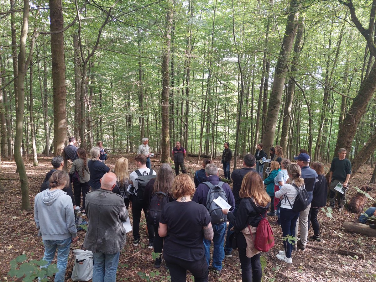 Wir hatten gestern einen tollen Tag bei unserer Waldexkursion in <a href="/Essen_Ruhr/">Stadt Essen</a>! 🌳Gemeinsam mit dem Fachbereich Grün und Gruga und rund 25  Interessierten, gingen wir der Frage nach: Was ist das Besondere an einem FSC-zertifizierten Stadtwald? #ForestsForAllForever