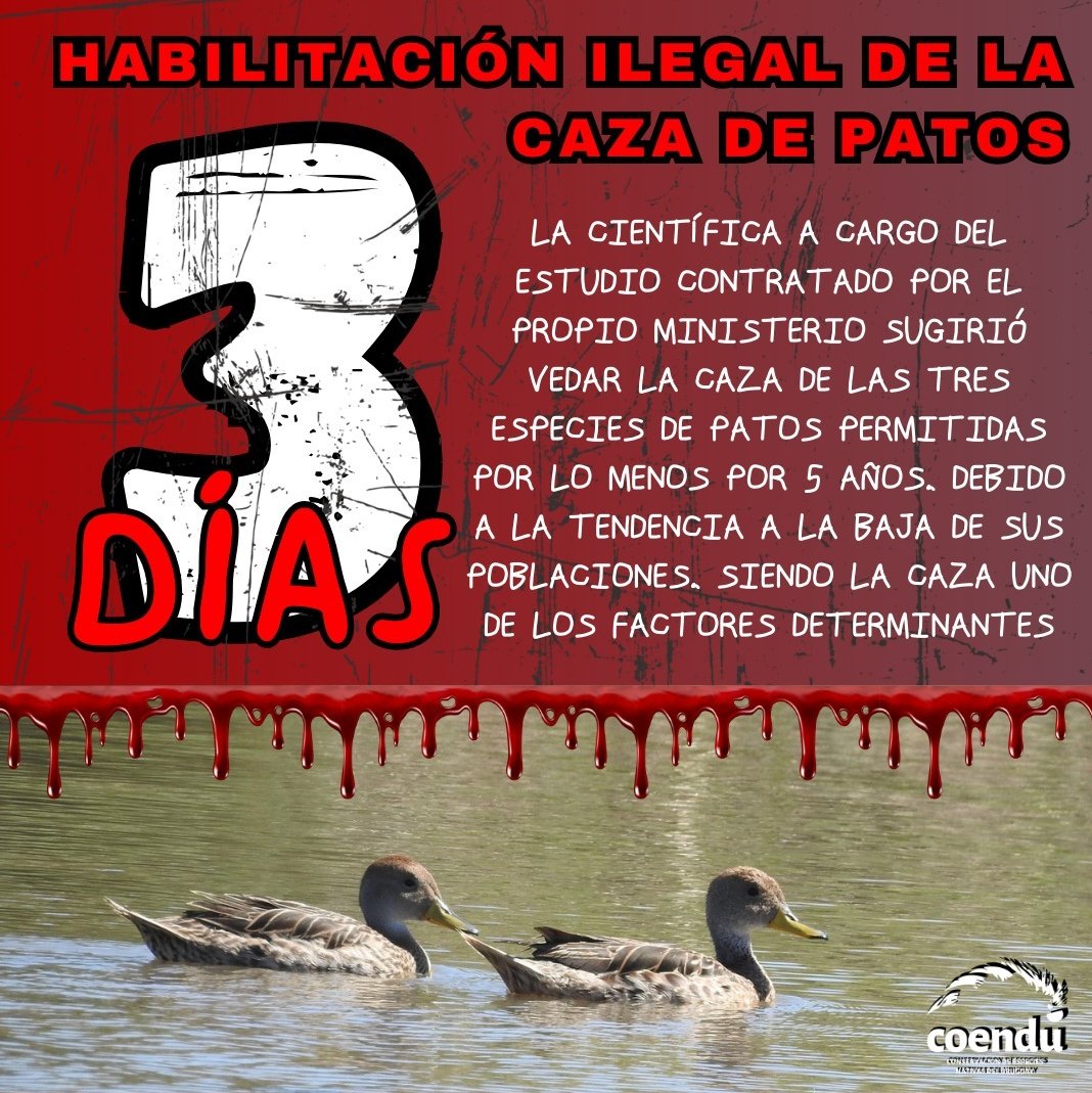 COENDU (@coenduong) on Twitter photo 