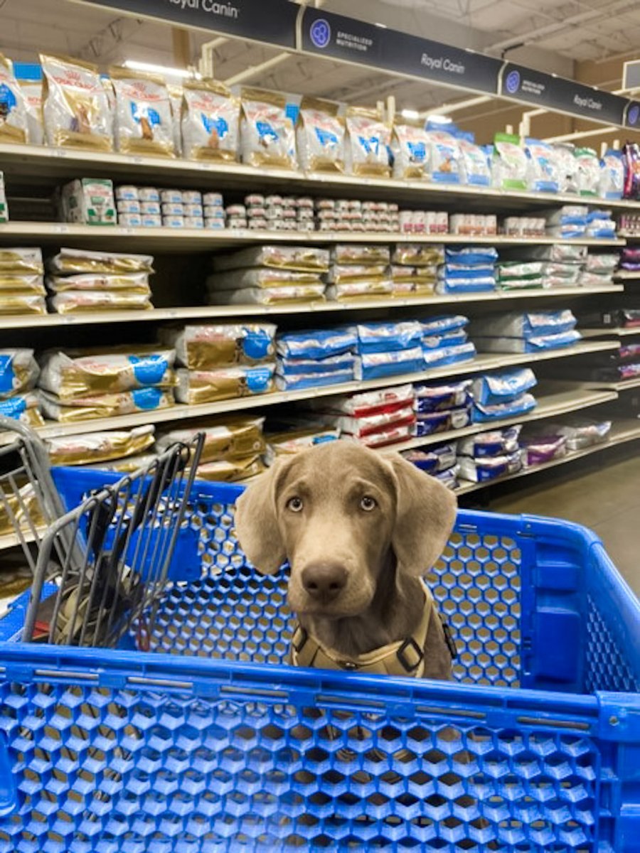 The petfood aisle is our happy place! What Royal Canin diet do you feed your pup? 📷: @beretta_yeti