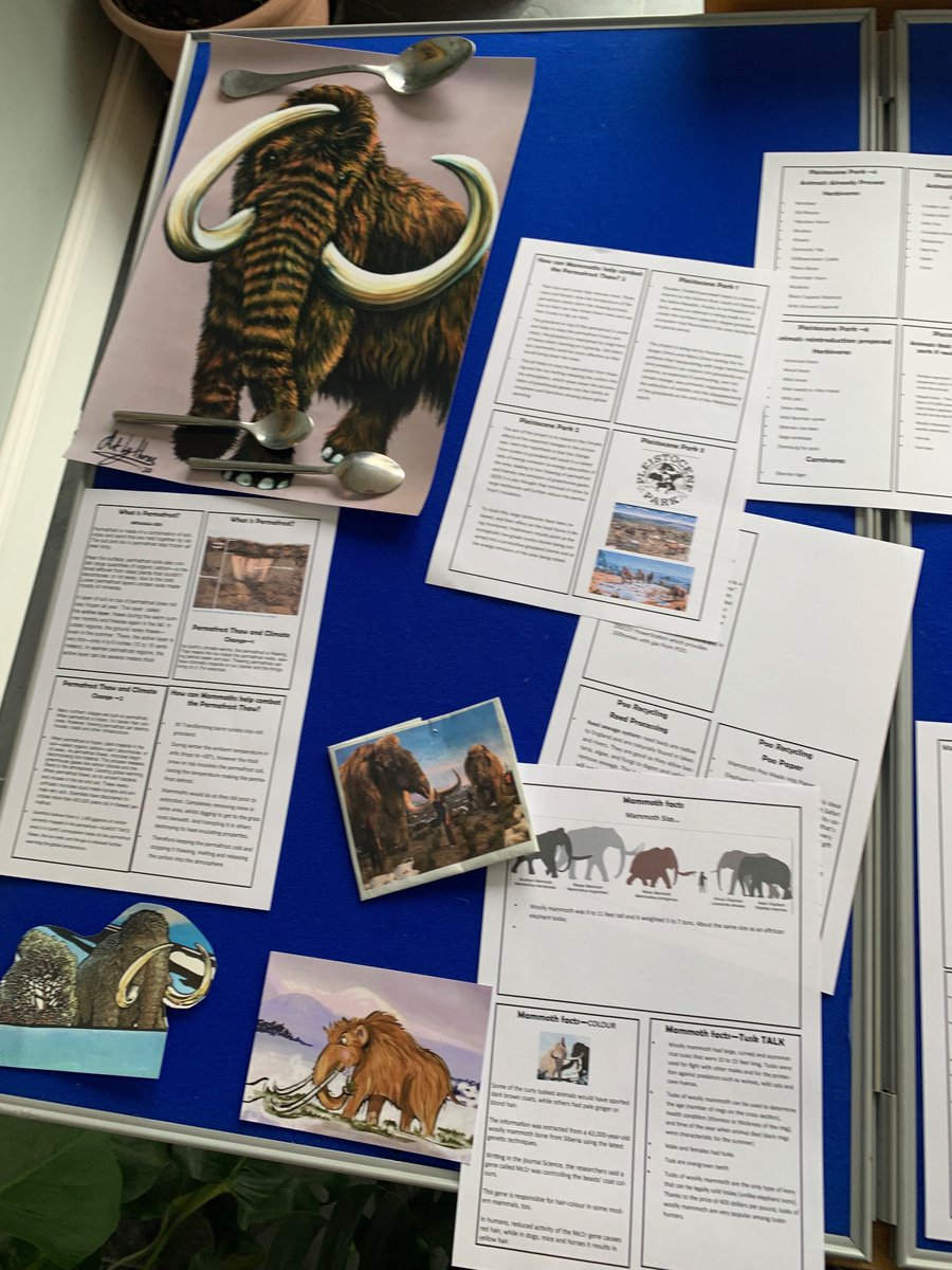Prepping for the #cheshamJurassicFestival @cheshamtown #cheshamlibrary on Saturday. @CheshamConnect 

Come down and say hi if you are about! 11.30 -1pm.