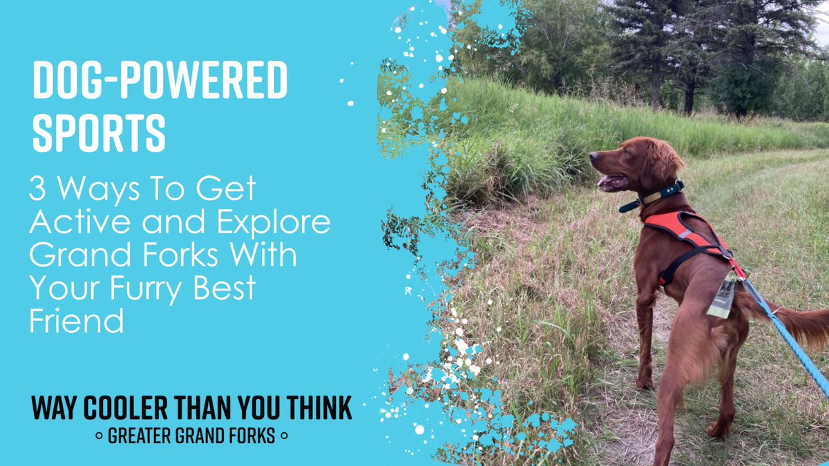 GF is Cooler tweet media